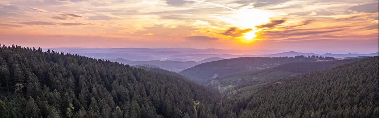 Sonnenuntergang über Wald und Berge