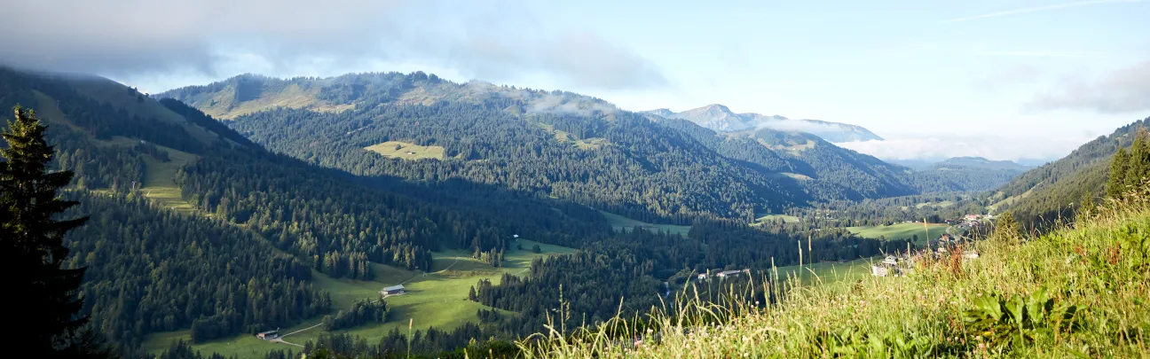 Blick über eine sonnige Berglandschaft