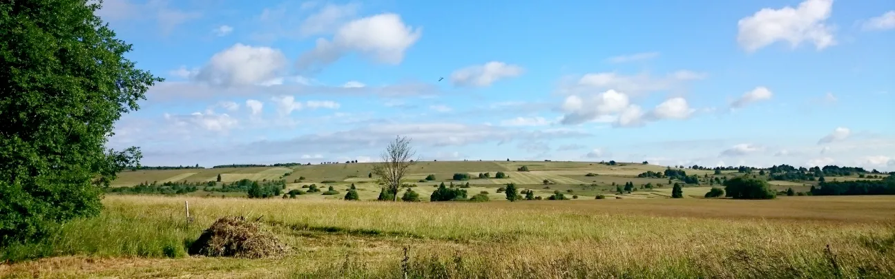 Blick über die weite, offene Landschaft in der Bayerischen Rhön