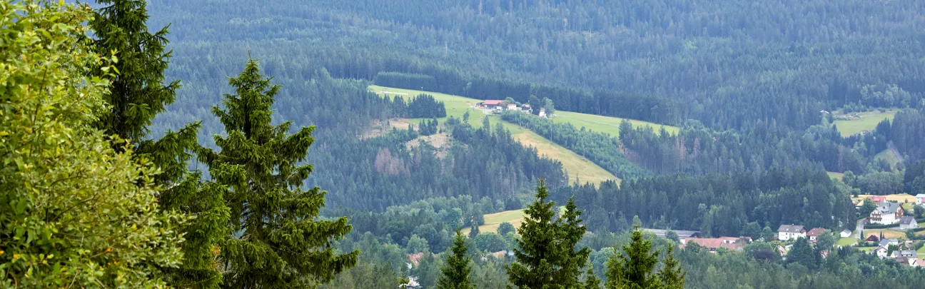 Weiter Blick auf eine waldige Landschaft