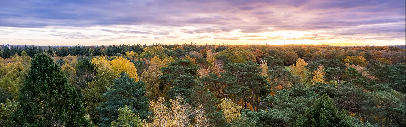 Weiter Blick über den Hamburger Klövensteen