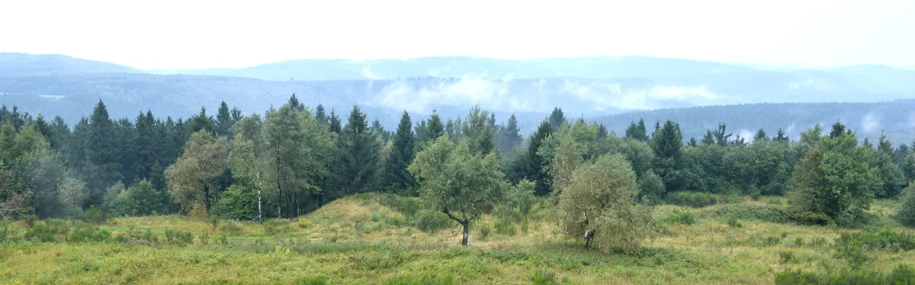 Blick auf die Landschaft in Horn Bad Meinberg