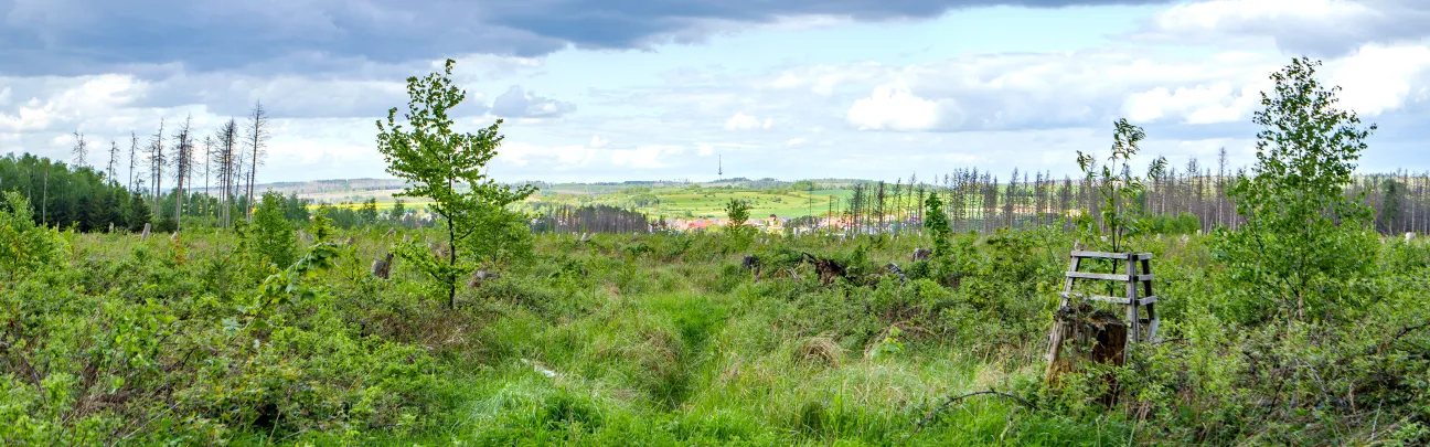 Blick über die Landschaft in Lichtenau