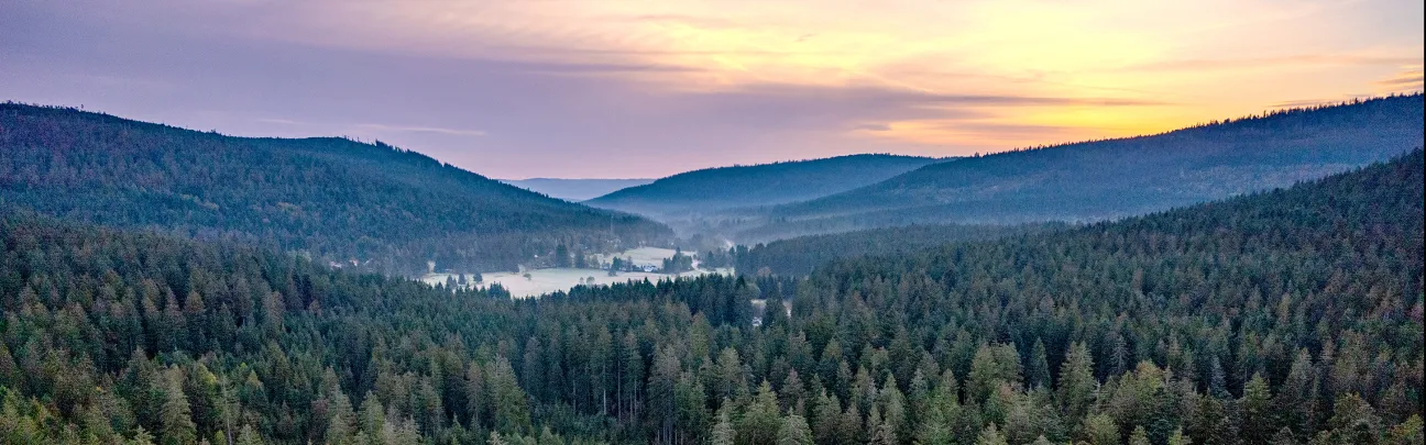 Weiter Blick über den NP Schwarzwald bei Sonnenaufgang