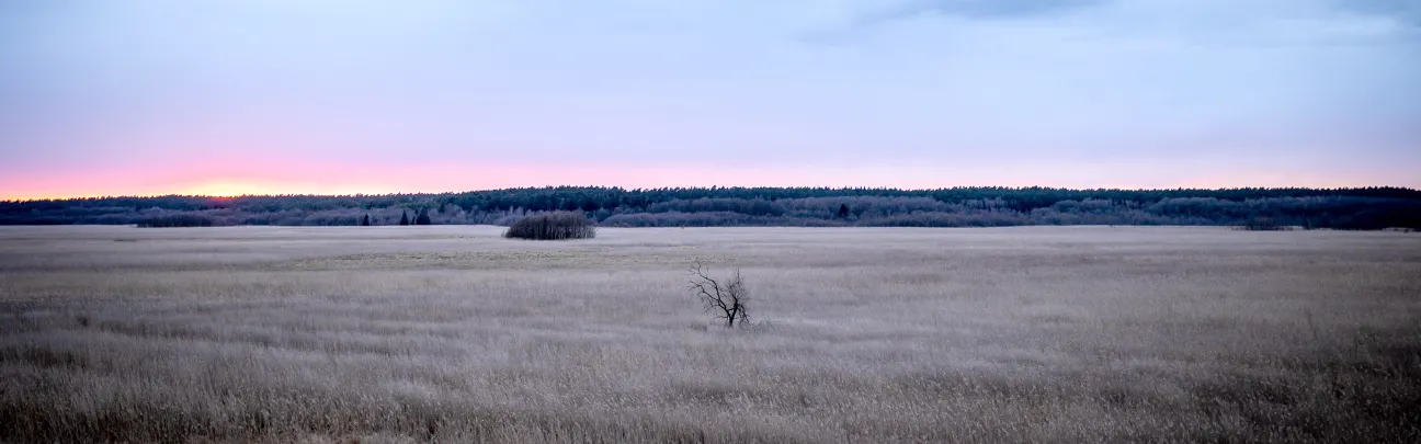 Weiter Blick auf die Nossentiner Schwinzer Heide