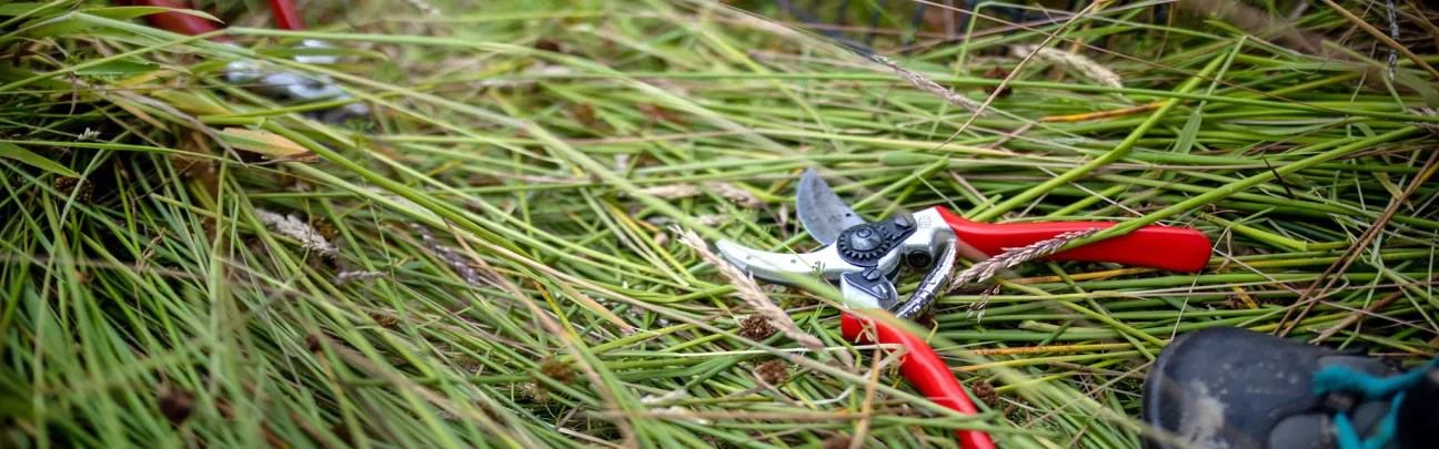 BWP_Bildergalerie_Hoher Westerwald_7.jpg