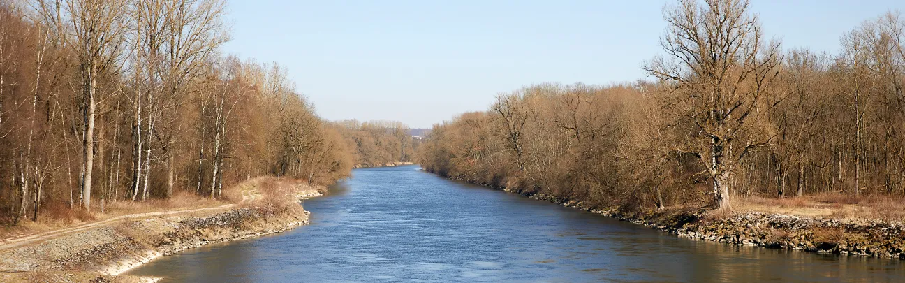 Flusslandschaft im Winter mit unbelaubten Bäumen