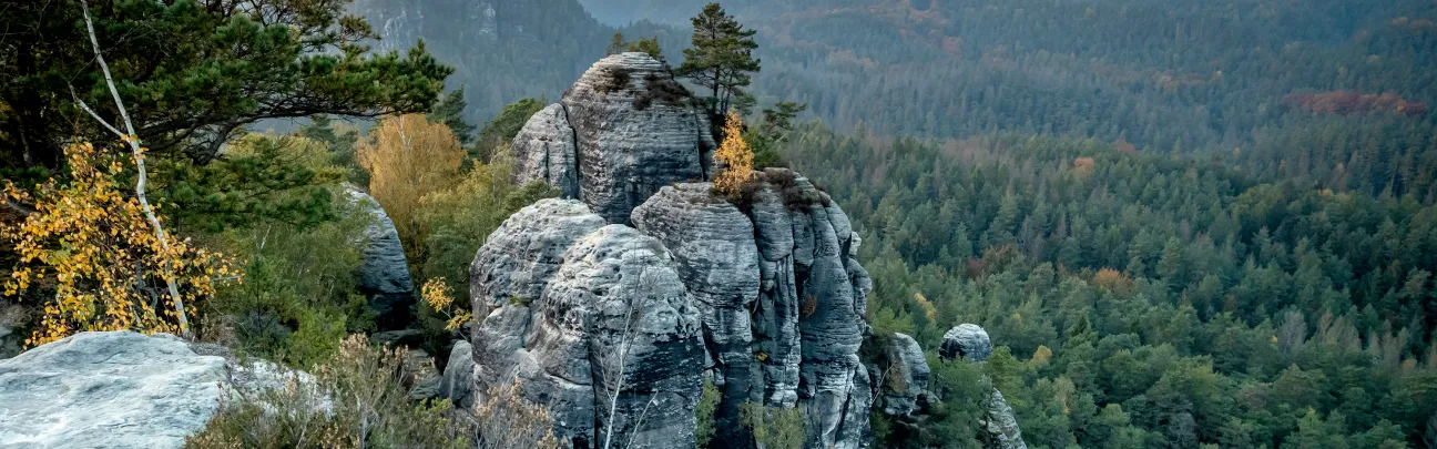 Stimmungsvoller Blick auf Felsen und Wald