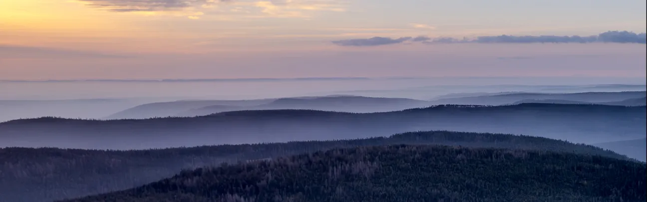 Sonnenuntergang über dem Waldmeer Sonnenuntergang über dem Waldmeer