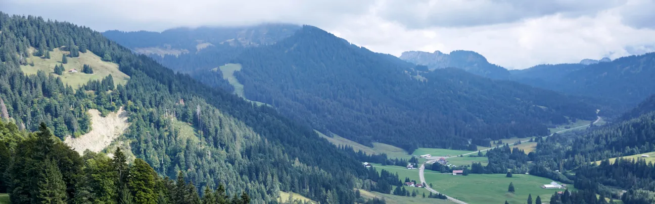 Weiter Blick über eine schöne Berglandschaft. Im Vordergrund laufen Teilnehmende über eine Wiese.