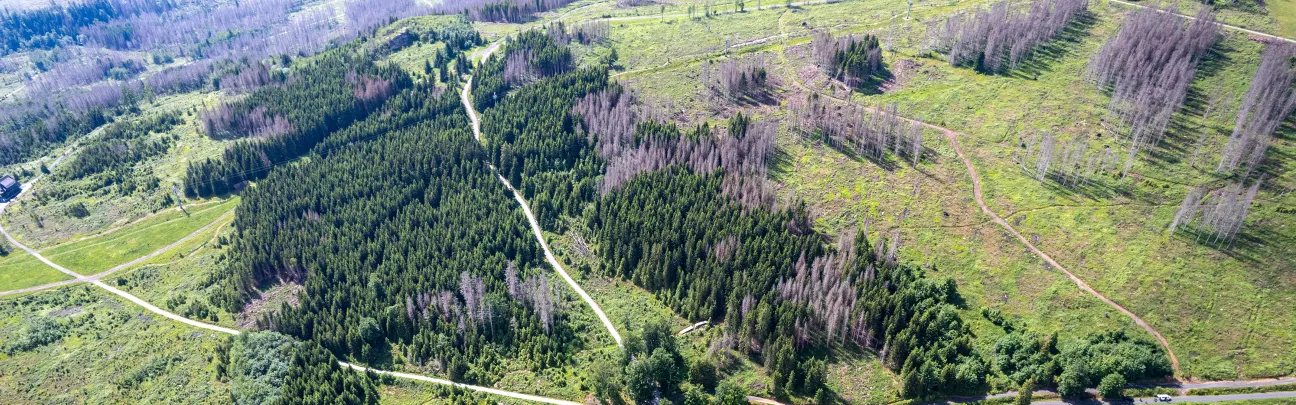 Landschaft von oben in Braunlage