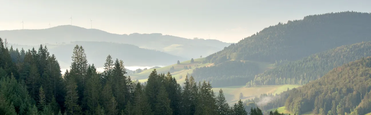 Weiter Blick über eine Landschaft in Belchen