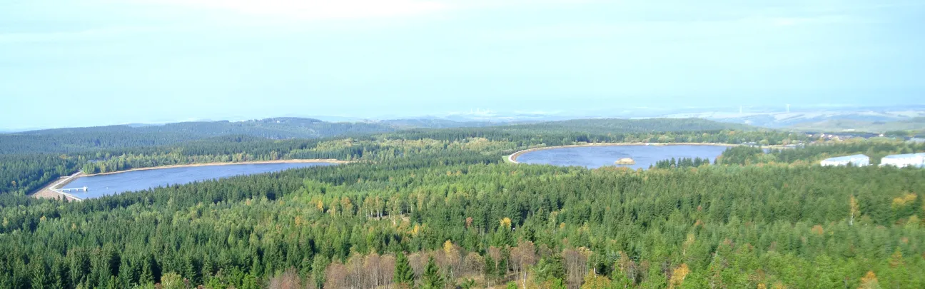 Weite Sicht über eine Waldlandschaft