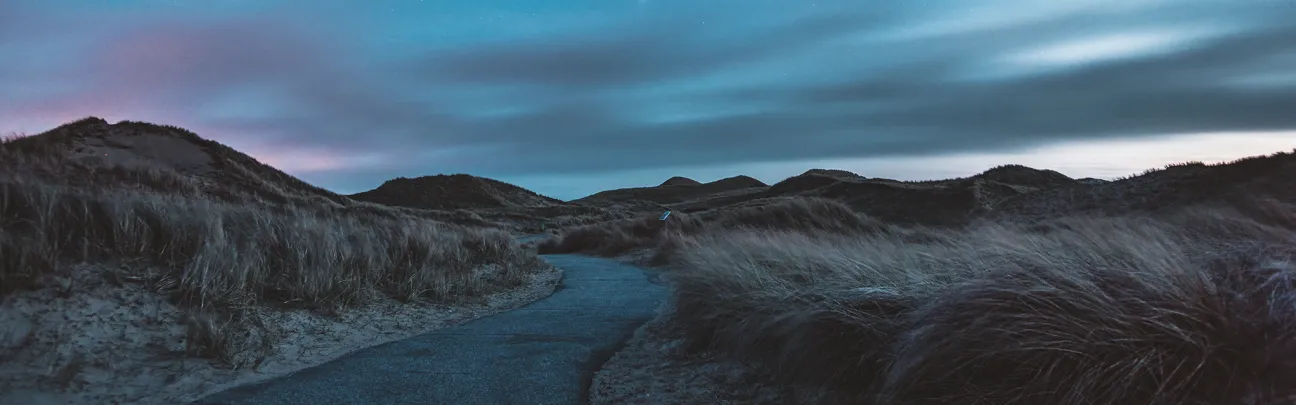 Amrum Strand.jpg Weg durch die Dünen