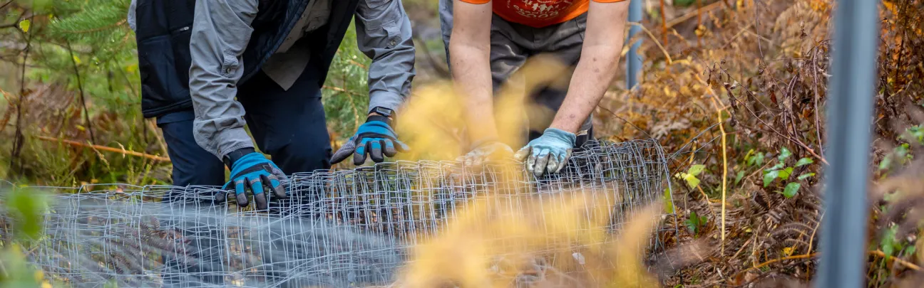 Zwei Teilnehmer rollen abgebauten Zaun auf