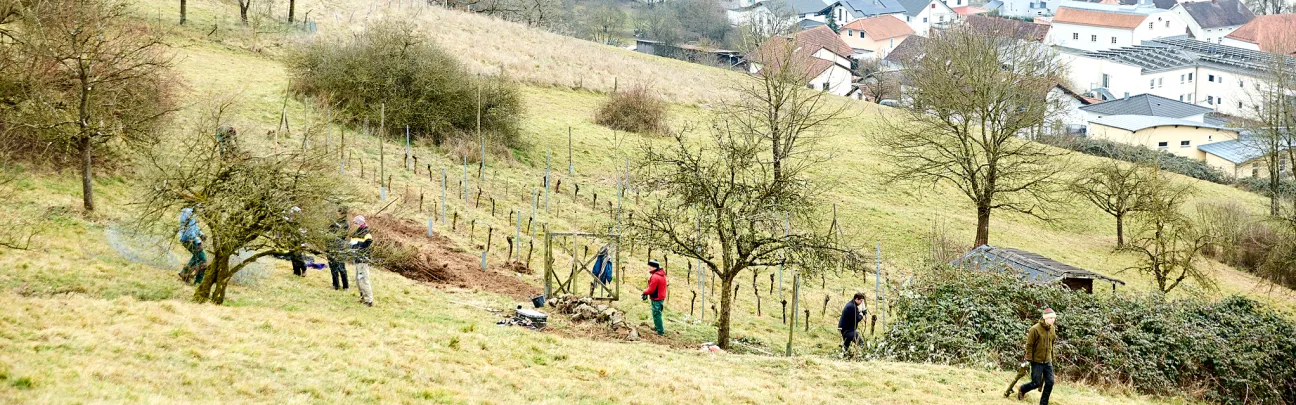 Offene Landschaft in Deggendorf mit Teilnehmenden