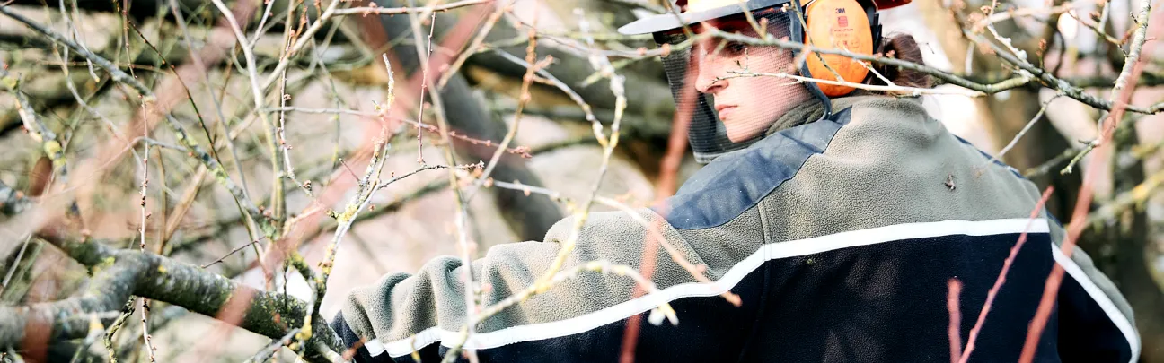 Teilnehmerin bei der Baumpflege