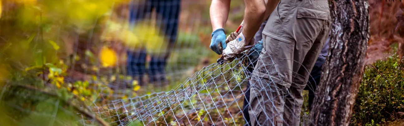 Teilnehmer beim Zaunabbau
