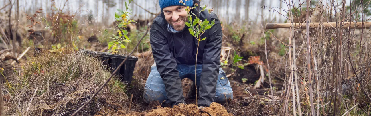Lächelnder Mann auf den Knien pflanzt junges Bäumchen