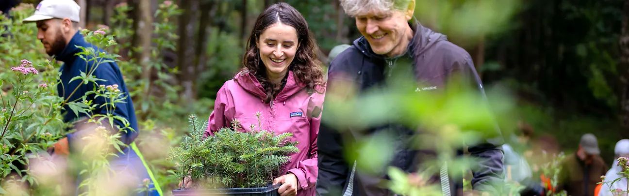 Lächelnde Teilnehmende tragen Jungpflanzen zur Fläche