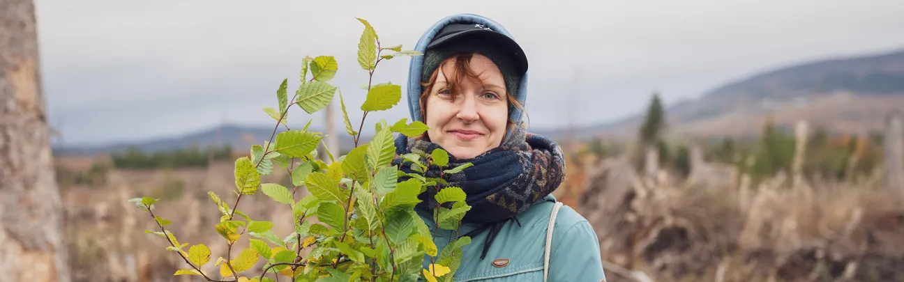 Frau mit Setzlingen von Hainbuchen