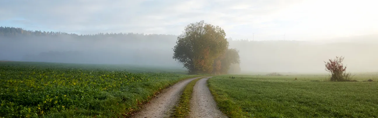 Weiter Blick über Wiesen