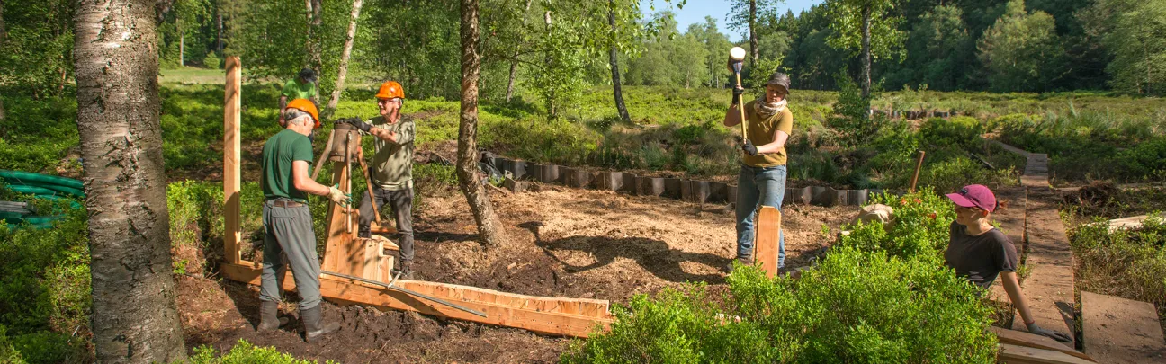 Arbeitsfläche im Moor mit Teilnehmenden
