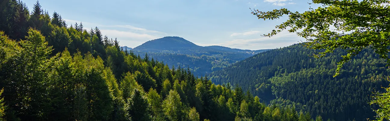 bwp_sonderprojekte_unterschoenau