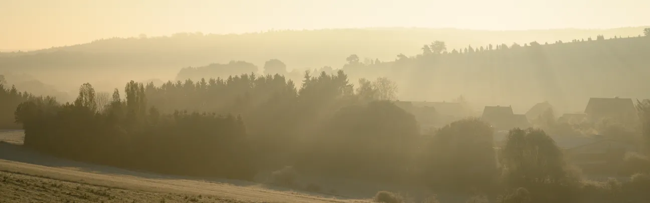 Landschaft im morgendlichen Sonnenlicht