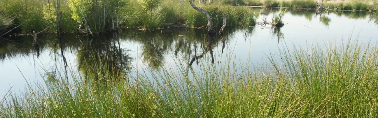 BWP_NaturparkHuemmling_Landschaft2.jpg