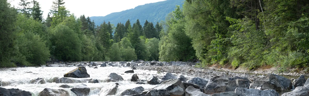 BWP_Halblech_Flusslandschaft2.jpg Blick auf den Fluss und Wald