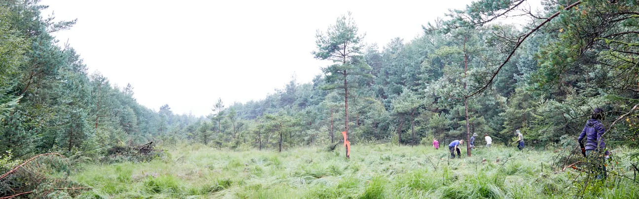 BWP_Neuenburg_Landschaft.jpg Weiter Blick auf eine offene Landschaftund Wald in Neuenburg