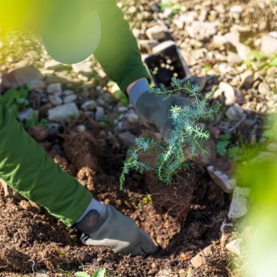 BWP_Galerie_Inklusive Projekte_1