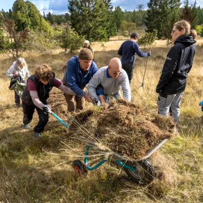 BWP_Galerie_Inklusive Projekte_8