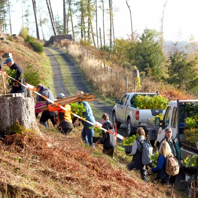 BWP_Galerie_Neihaufeschte_1