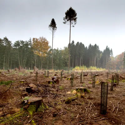 BWP_Galerie_Neihaufeschte_13