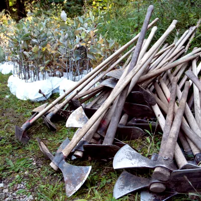 BWP_Galerie_Neihaufeschte_16