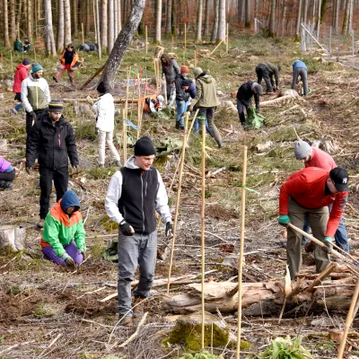 BWP_Galerie_Neihaufeschte_20