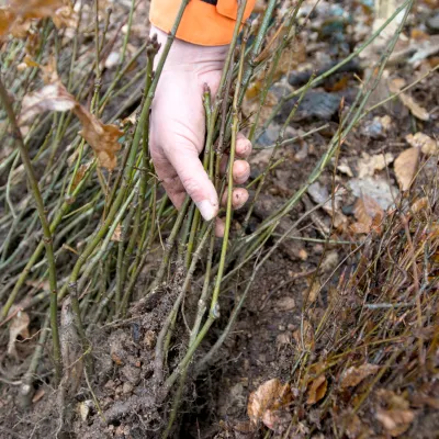 BWP_Galerie_Neihaufeschte_3