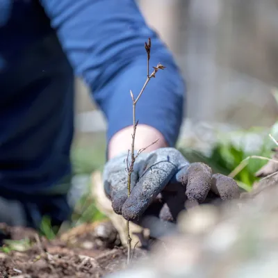 BWP_Galerie_Neihaufeschte_7