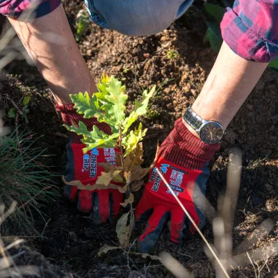 BWP_Galerie_Neihaufeschte_9