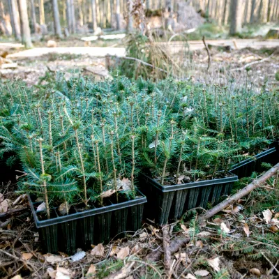 BWP_Galerie_Suffizienzprojekte_11