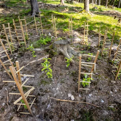 BWP_Galerie_Unterschoenau_12