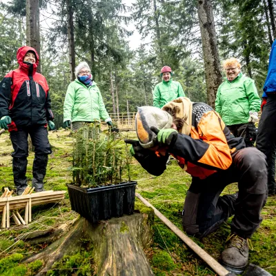 BWP_Galerie_Unterschoenau_5