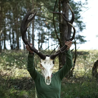 Person, die den Schädel eines Hirsches mit Geweih vor ihren Kopf hält