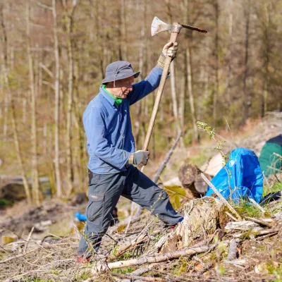 Teilnehmer pflanzt einen Baum mit der Wiedehopfhaue