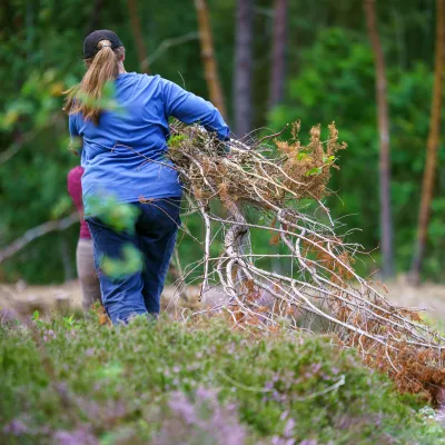 Frau beim Abtransport von Ästen