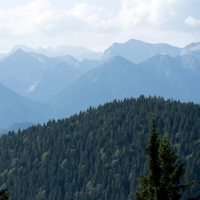 Blick auf eine bewaldete Berglandschaft