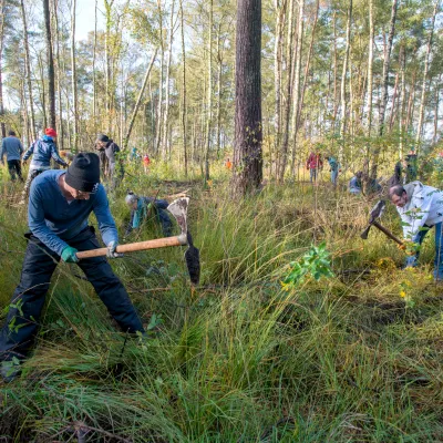 Teilnehmende bei der Pflanzung