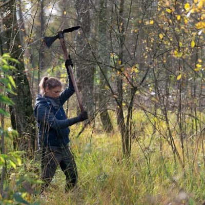 Frau mit Wiedehopfhaue bei der Pflanzung